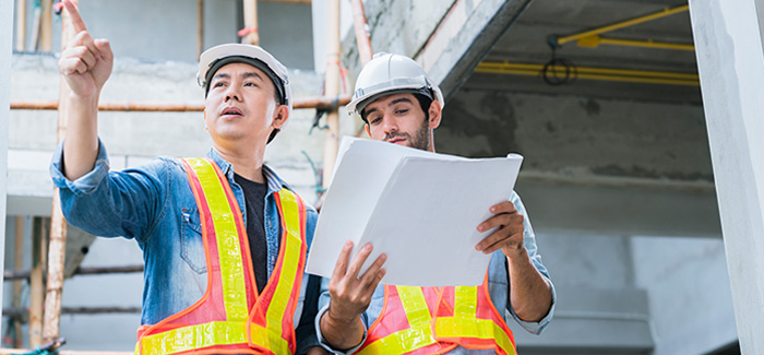 ��8ͷ�����(�й���½)-�ٷ���վ