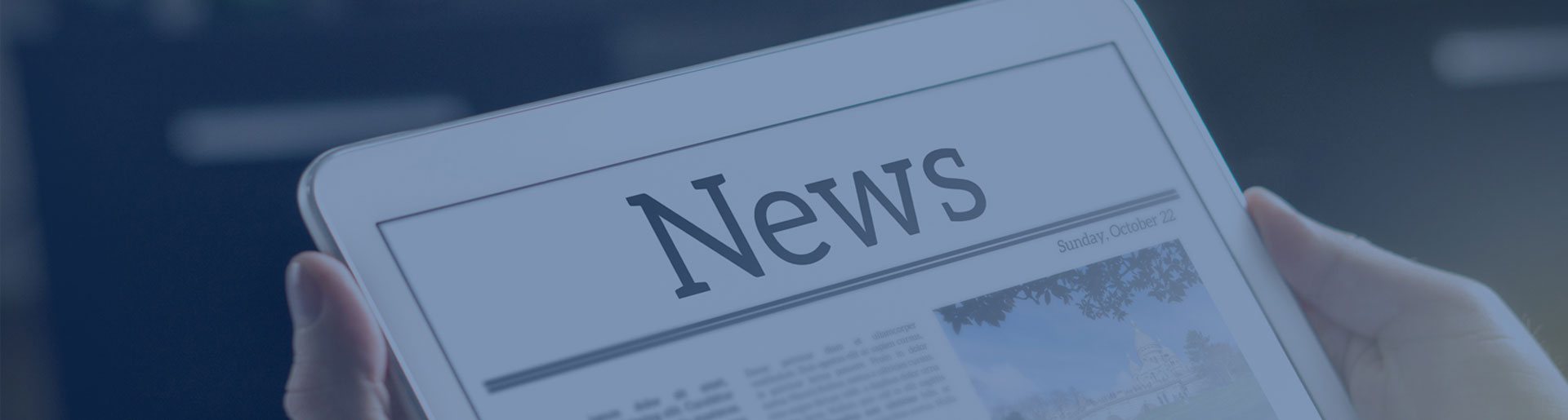 ��8ͷ�����(�й���½)-�ٷ���վ