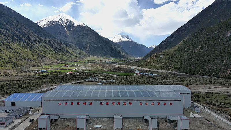 ��8ͷ�����(�й���½)-�ٷ���վ