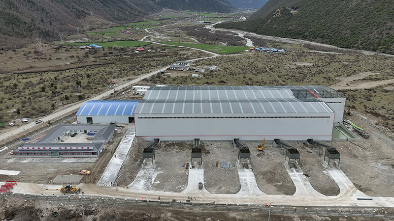 ��8ͷ�����(�й���½)-�ٷ���վ