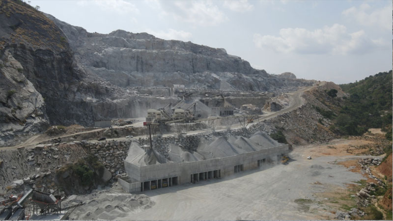 ��8ͷ�����(�й���½)-�ٷ���վ