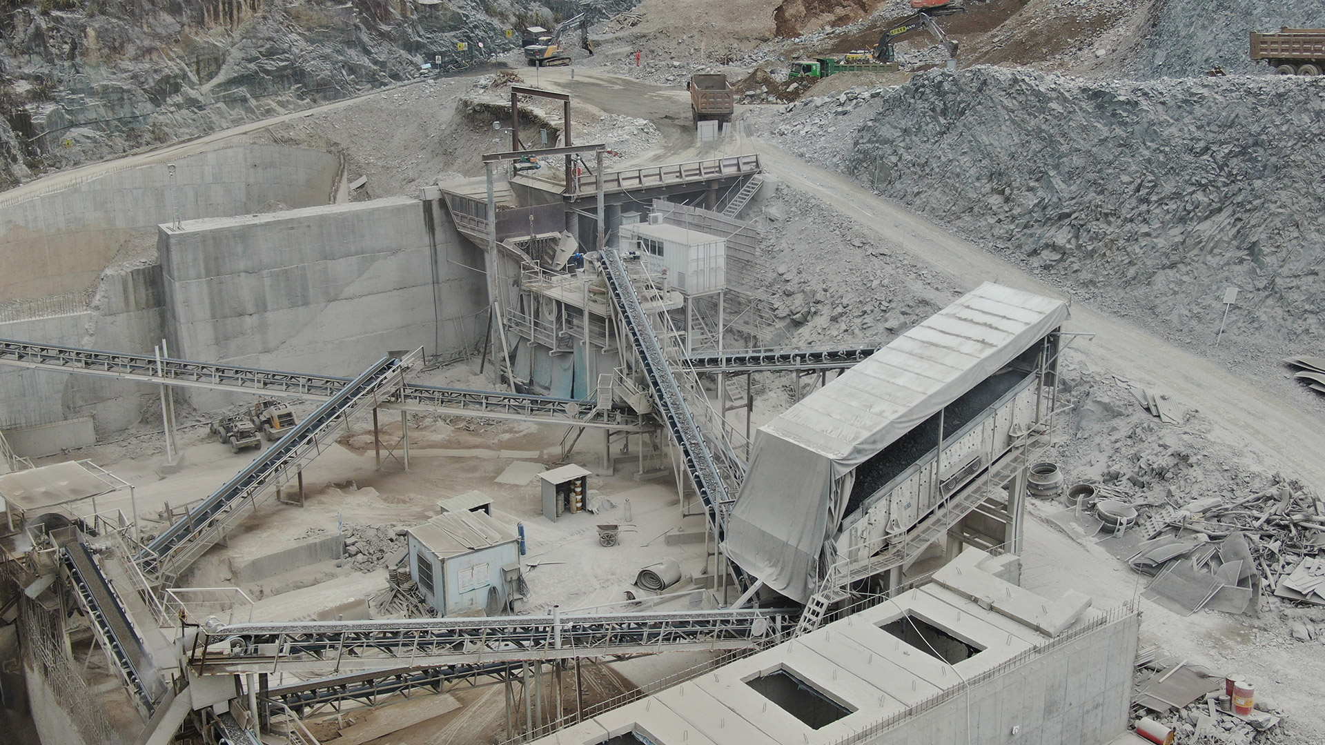 ��8ͷ�����(�й���½)-�ٷ���վ