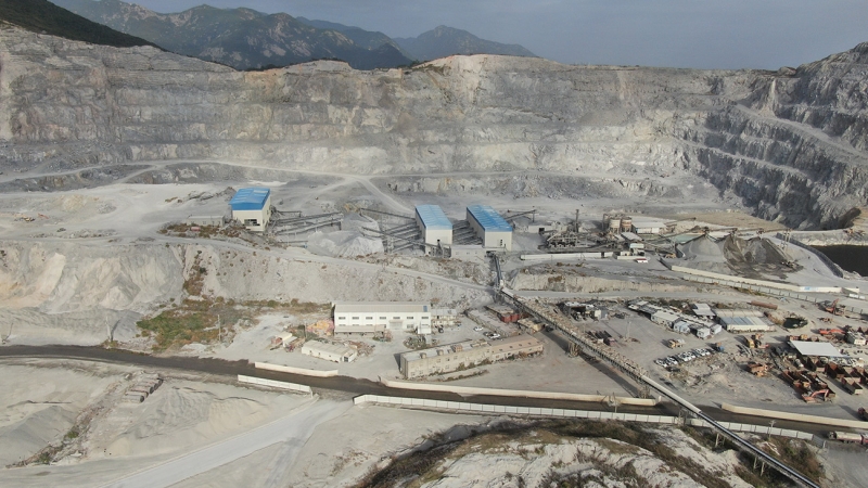 ��8ͷ�����(�й���½)-�ٷ���վ