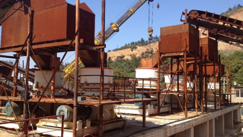 ��8ͷ�����(�й���½)-�ٷ���վ