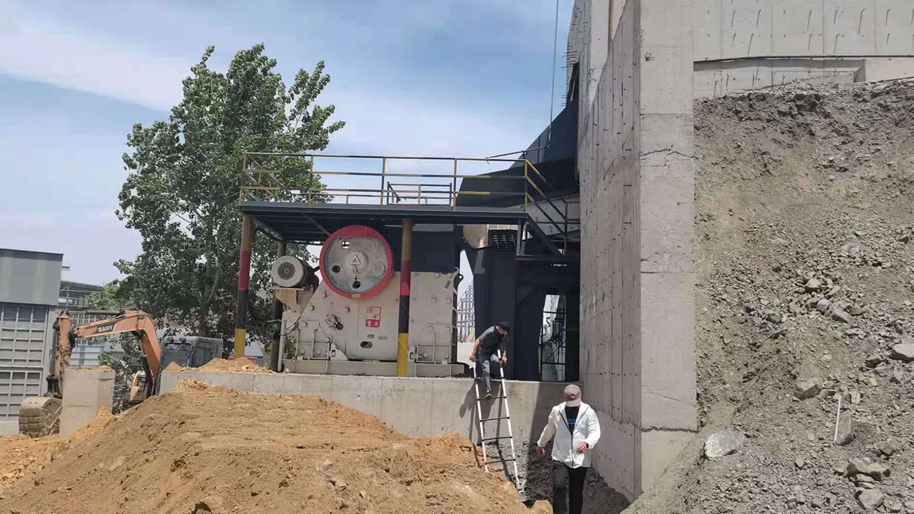 ��8ͷ�����(�й���½)-�ٷ���վ