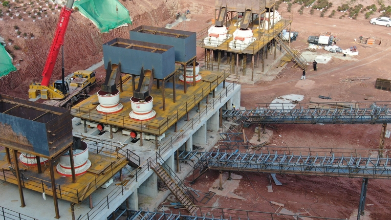 ��8ͷ�����(�й���½)-�ٷ���վ