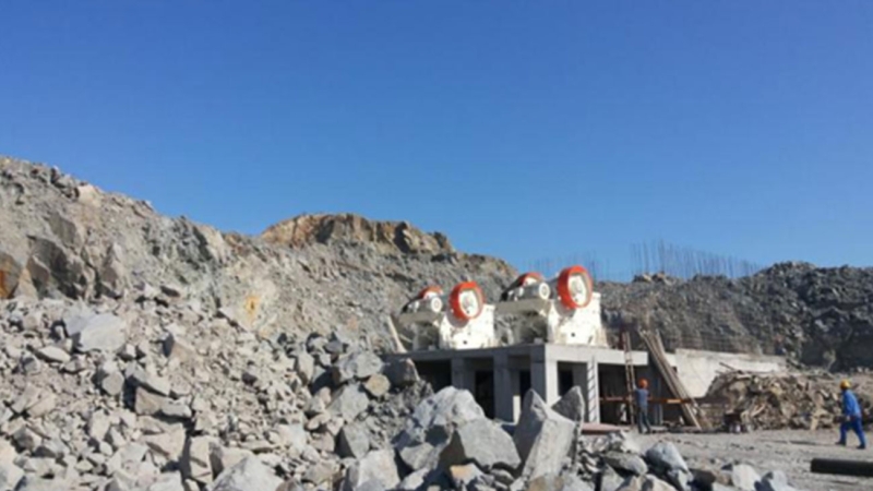 ��8ͷ�����(�й���½)-�ٷ���վ