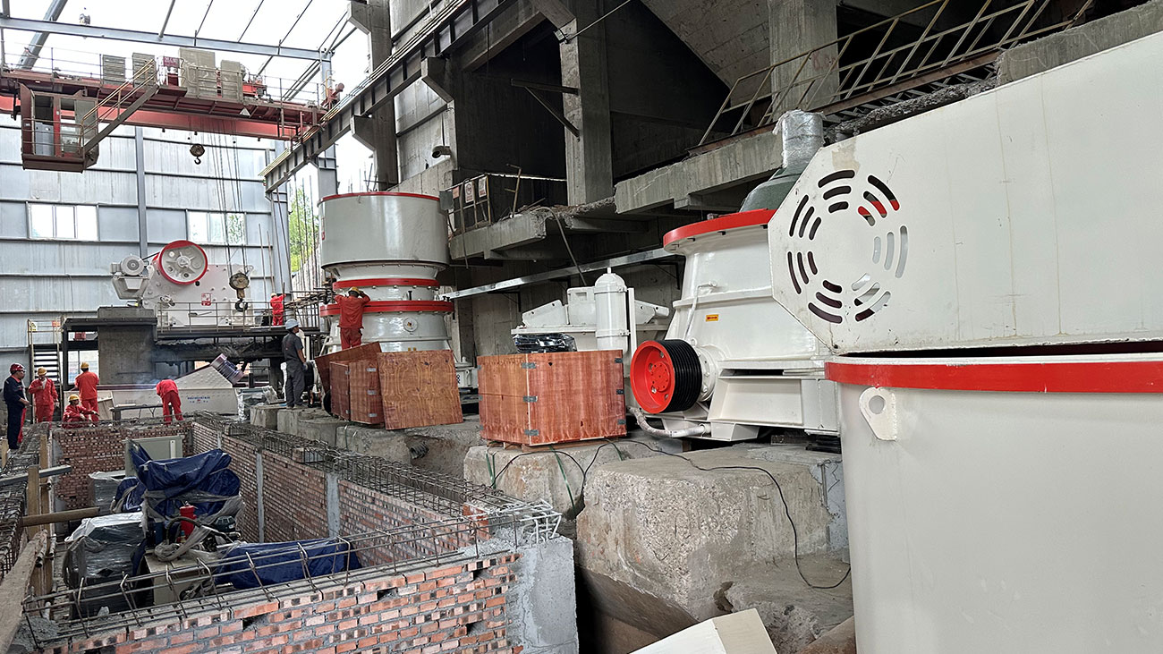 ��8ͷ�����(�й���½)-�ٷ���վ