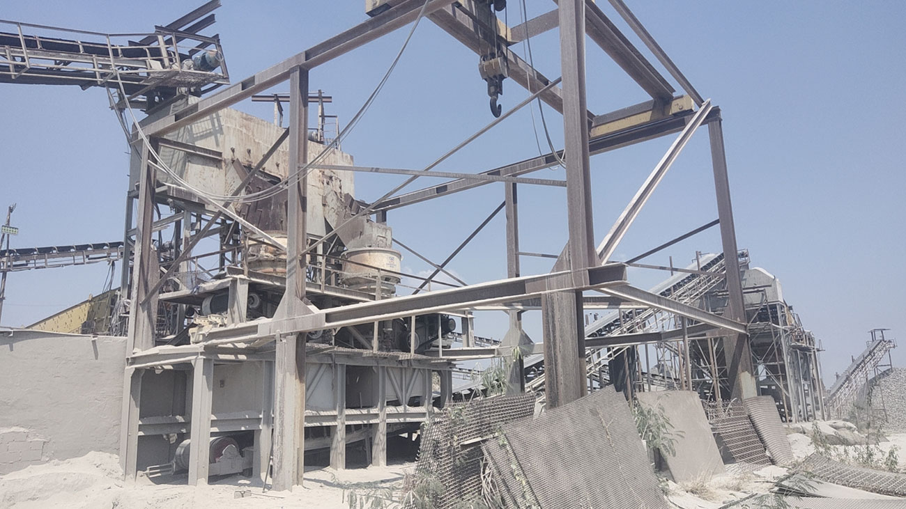 ��8ͷ�����(�й���½)-�ٷ���վ