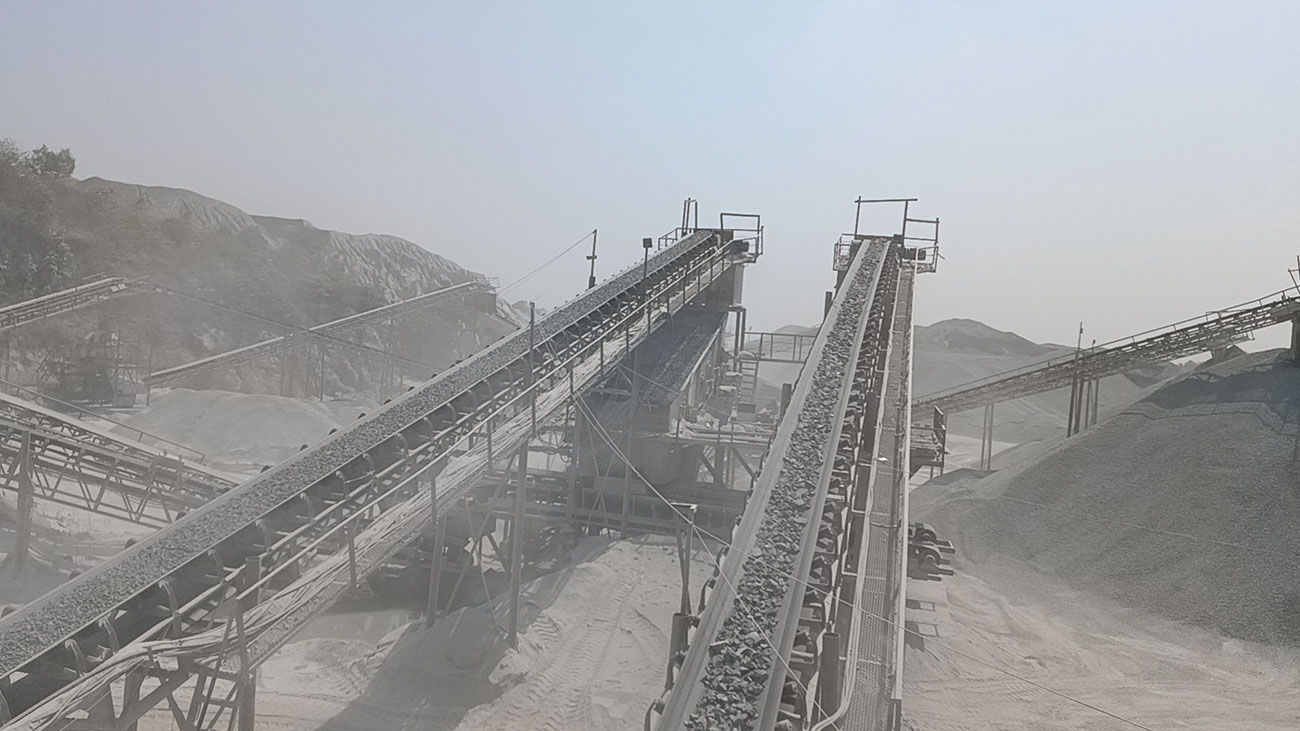 ��8ͷ�����(�й���½)-�ٷ���վ