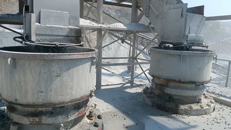 ��8ͷ�����(�й���½)-�ٷ���վ