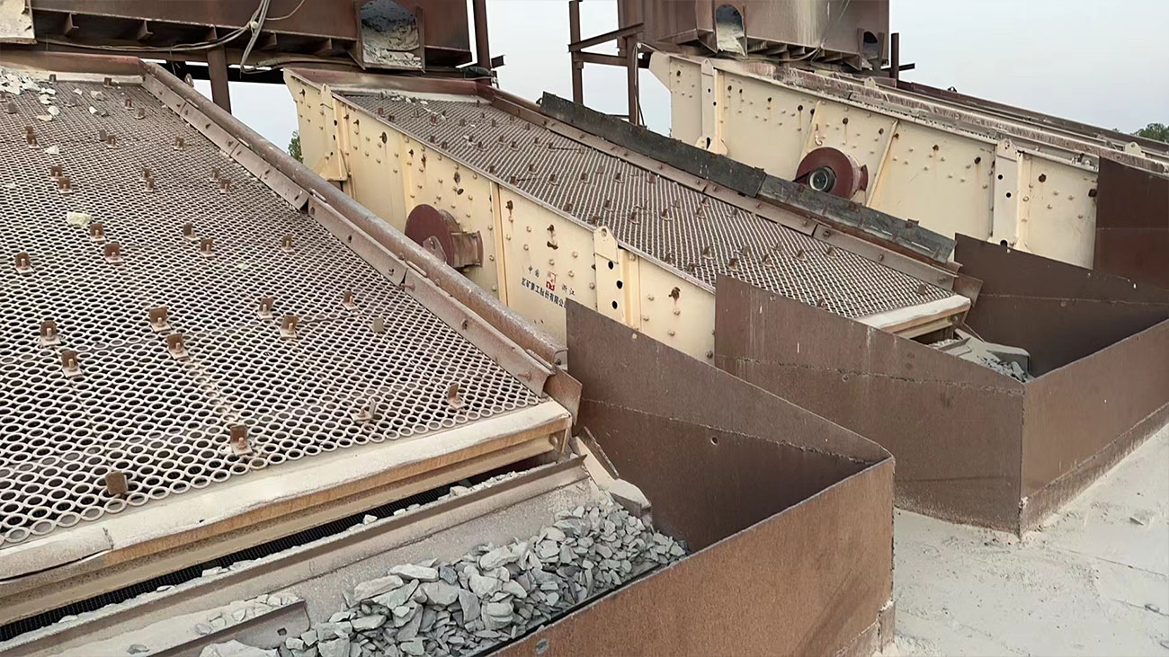 ��8ͷ�����(�й���½)-�ٷ���վ