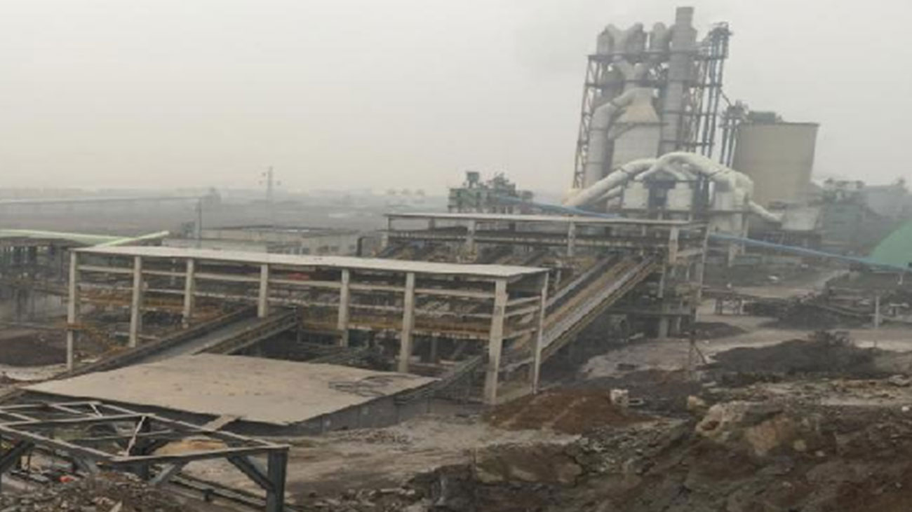 ��8ͷ�����(�й���½)-�ٷ���վ