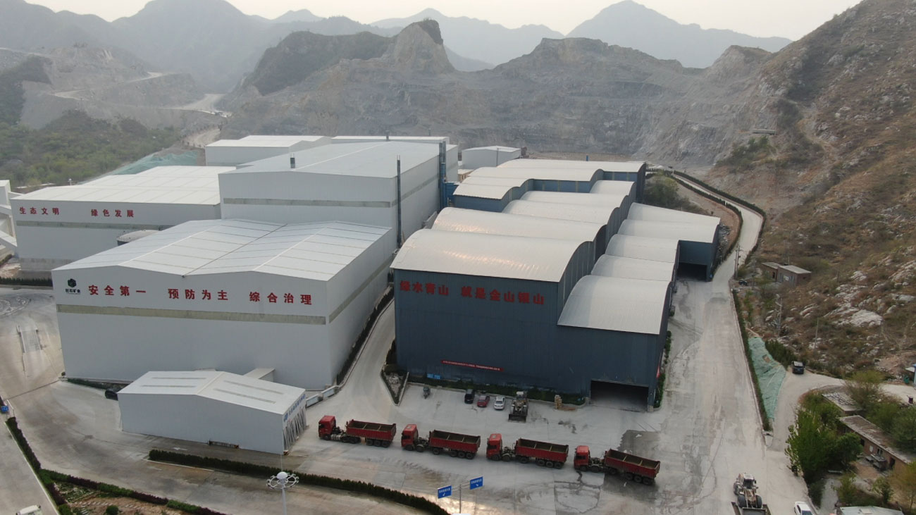 ��8ͷ�����(�й���½)-�ٷ���վ