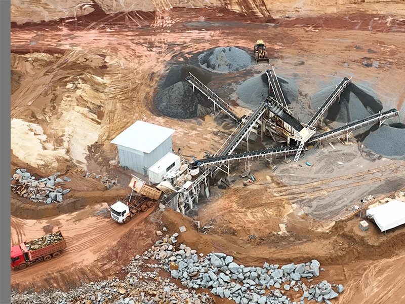 ��8ͷ�����(�й���½)-�ٷ���վ